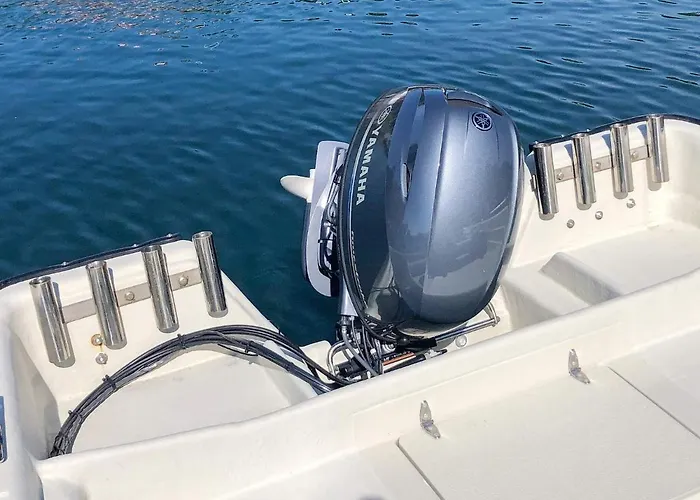 Ferienhaus 12 Person In *